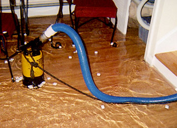 Negocio Aaa Drying