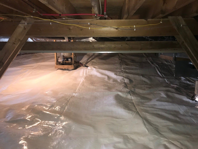 Negocio All Dry Basement Solutions