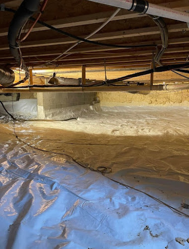Negocio Apd Foundation Repair
