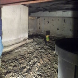 Family Waterproofing Solutions