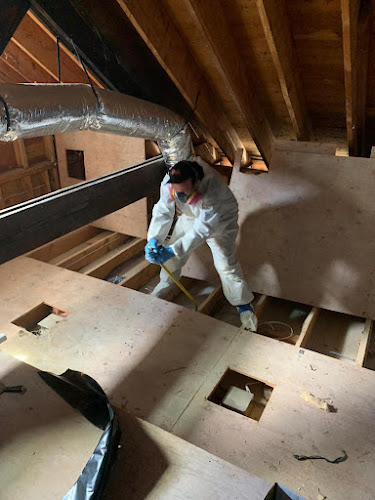 Negocio Long Island Mold Removal Pros