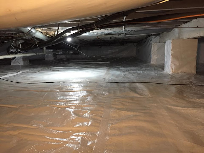 Negocio Md Crawlspace & Basement - Nj's Trusted Crawlspace Encapsulation, Mold Remediation, & Waterproofing Specialists