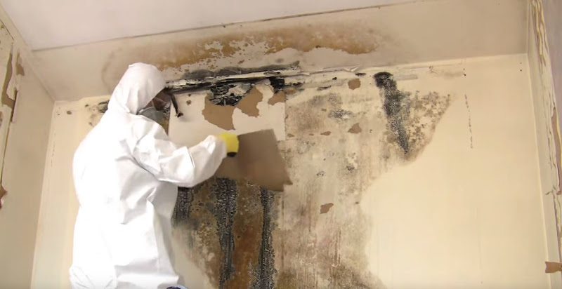 Mold & Mildew Solutions, Llc