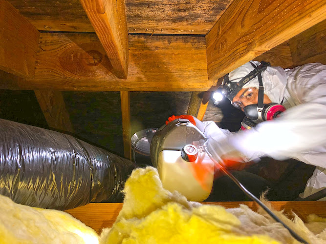 Mold Solutions By Cowleys