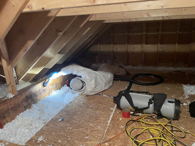 Pro Gc & Restoration Of Nh