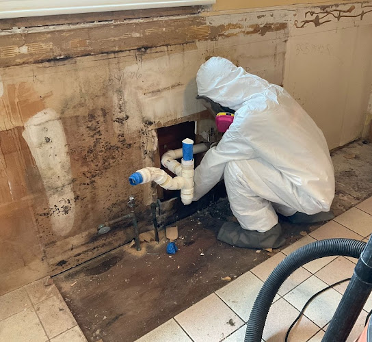 Negocio Servpro Of Nashua