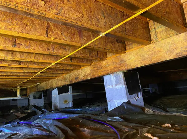 Southern Crawl Space