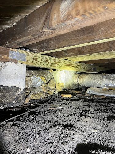 Negocio Structured Foundation Repairs