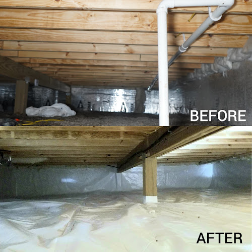 The Crawlspace Guy
